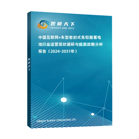 中國互聯(lián)網(wǎng)+車型密封式免鉛酸蓄電池行業(yè)運營現(xiàn)狀調(diào)研與投資戰(zhàn)略分析報告（2024-2031年）